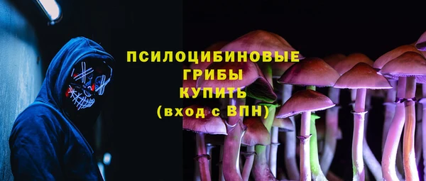 тгк Алексин