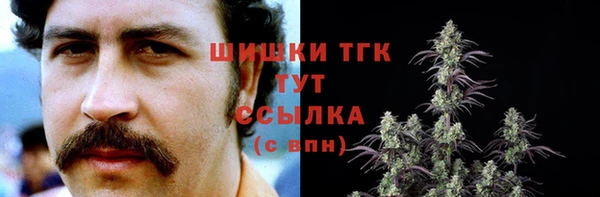 тгк Алексин