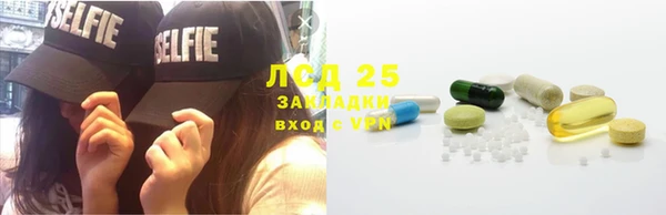 крисы Осинники