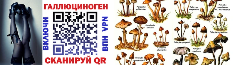 MEGA вход Шатура Галлюциногенные грибы прущие грибы цены наркотик